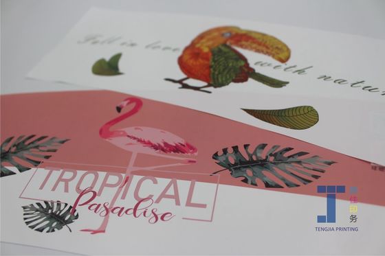 Impressão digital IML em etiquetas de molde para cestas de plástico cestas de frutas tamanho grande